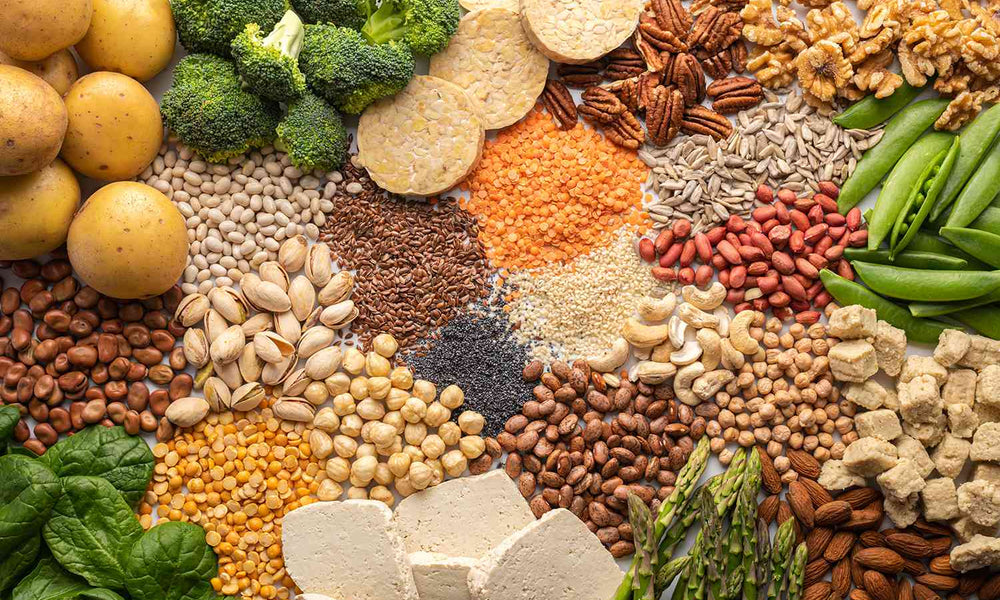 Plant-based protein requirements – Food for Sale